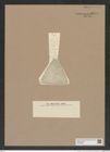Stictodiscus sp. (de-Toni-Nr.: Genus 205) Zeichnungen Sammlung Grunow Nr. 9076 (NHMW-BOT-W0378828)